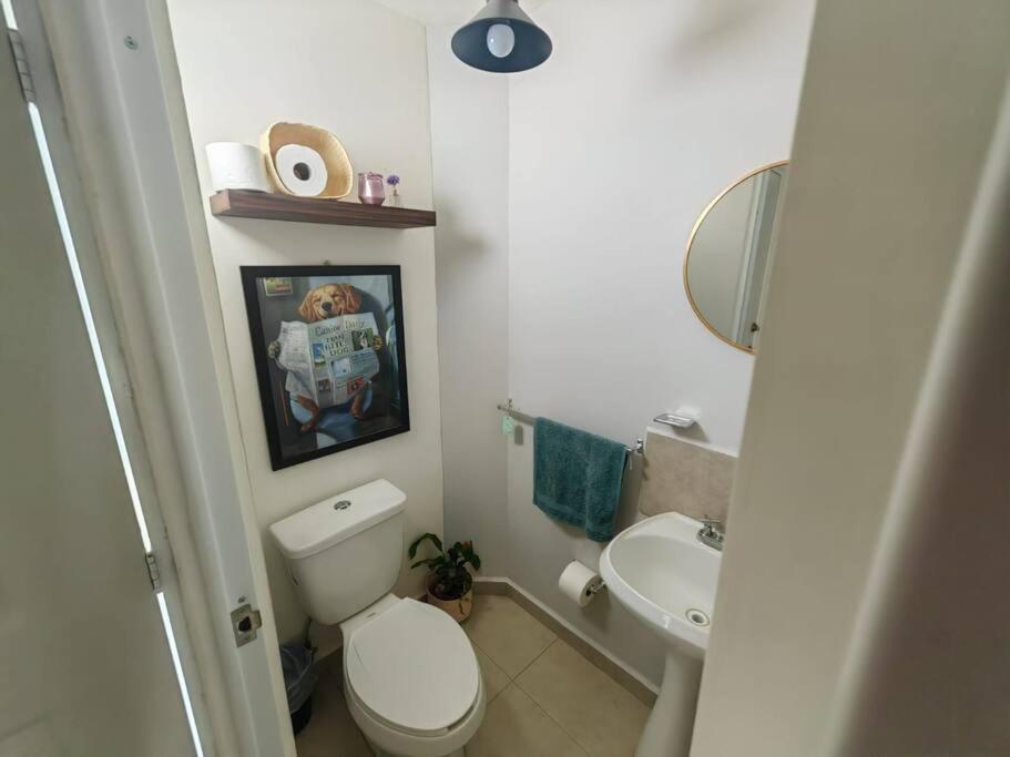 Casa Meraki Керетаро Экстерьер фото